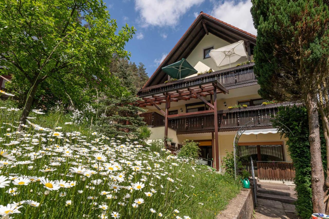 Haus Wiesenttal Waischenfeld Buitenkant foto